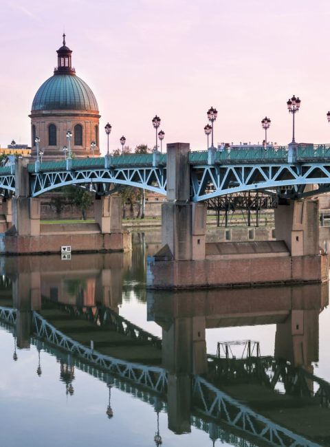 Voyage a Toulouse explorez les charmes de la ville rose