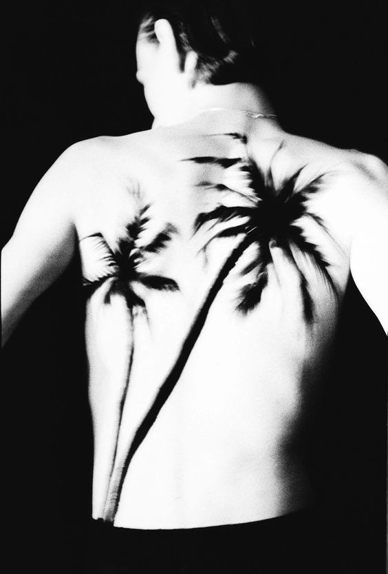 Pintura de palmeras negras espalda modelo desfile Raf Simon