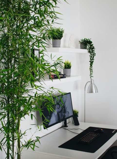 Le nouvel essentiel du quotidien connecte Modalova scaled