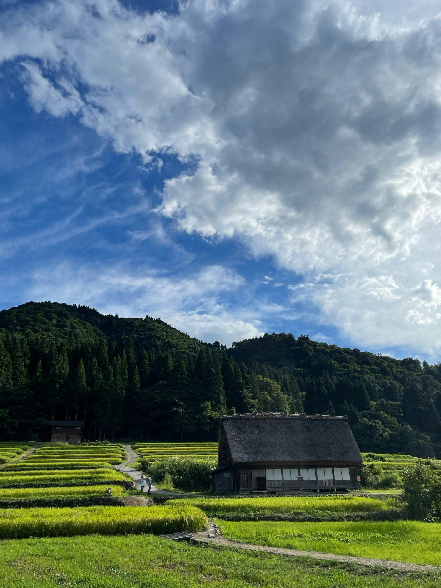 Le Kansai rural Japon — lart du silence maitrise Ces lieux secrets ou le luxe voyage incognito Modalova