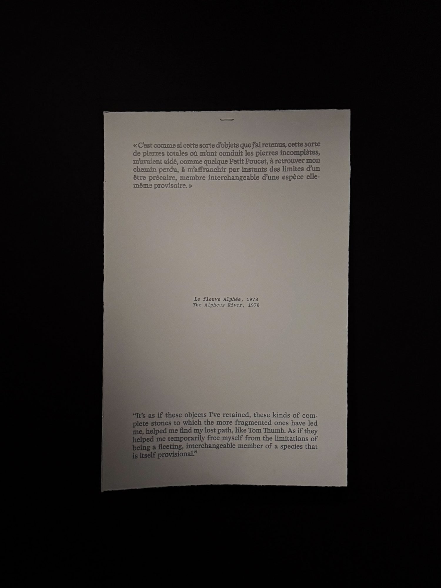 Texto Septaria Roger Caillois en la exposición Ensoñaciones de Piedras