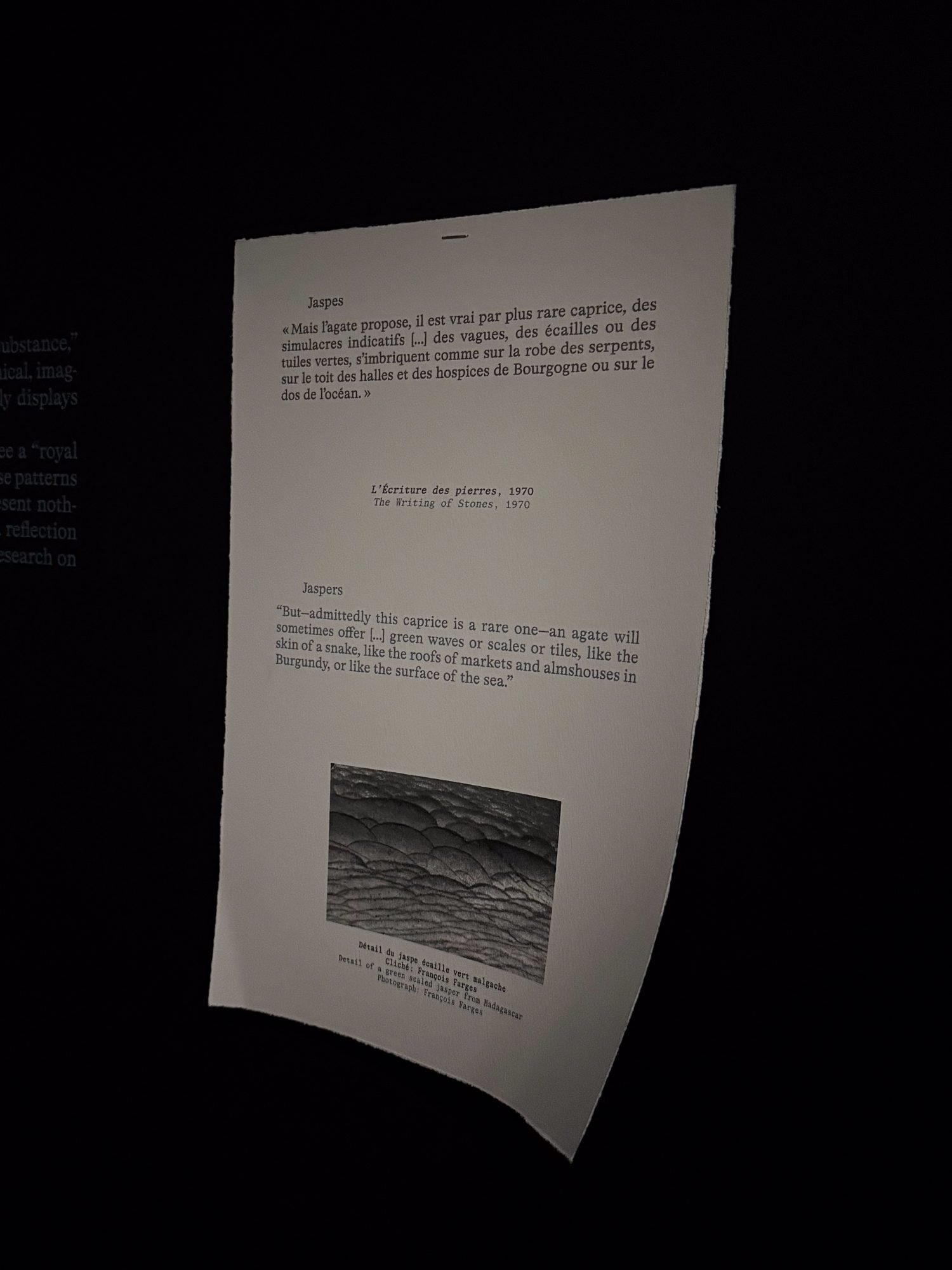 Texto jaspes Roger Caillois expo Ensoñaciones de Piedras